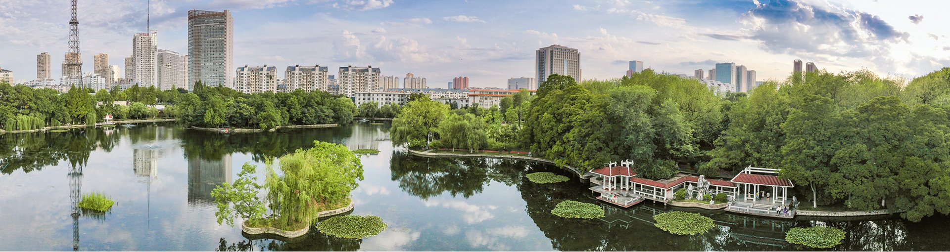 1.三级学位授予工作