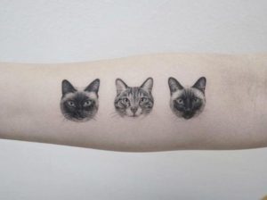 three Cat face Tattoo Designs sleeve
