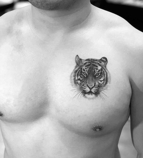 Chest Tiger Tattoo for Men