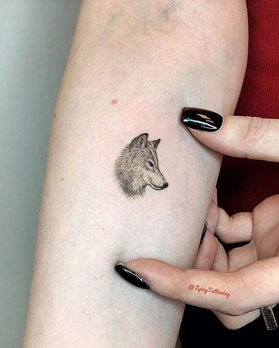 small wolf on forearm
