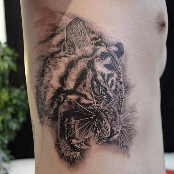 Tiger Tattoos for Men