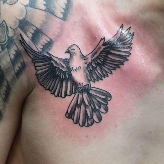 Dove Tattoo on Chest