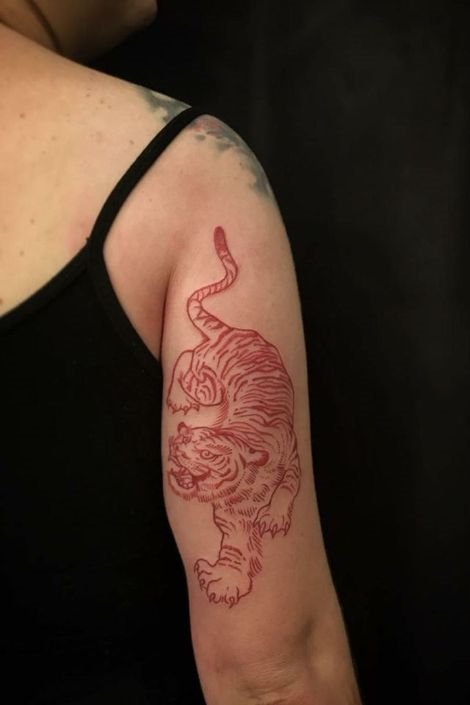 red color tiger tattoo on upper arm backside
