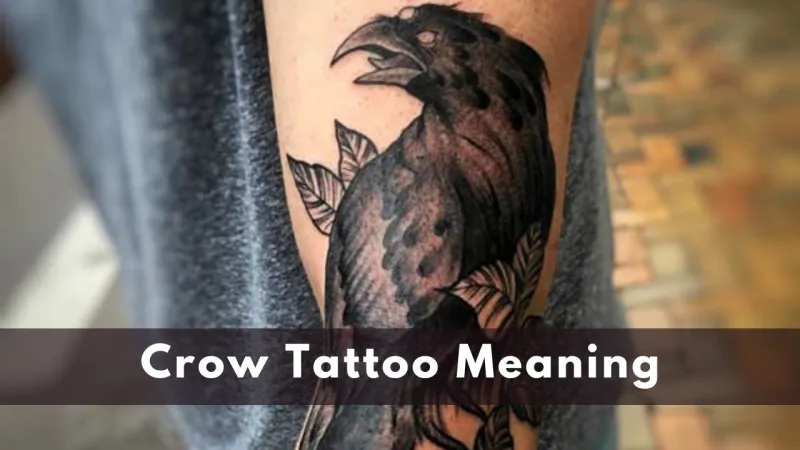 Crow Tattoo meaning