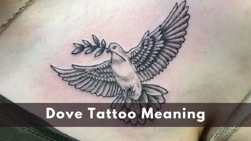 Dove Tattoo meaning