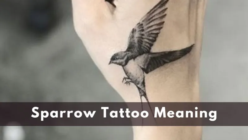 Sparrow Tattoo meaning