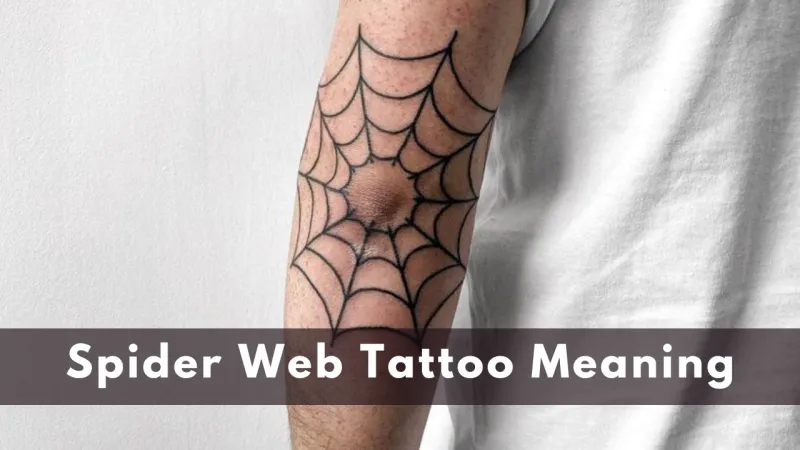 Spider Web Tattoo Meaning