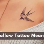 Swallow Tattoo All Meanings