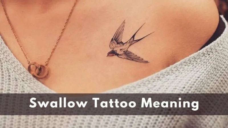 Swallow Tattoo All Meanings